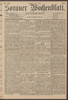 Sorauer Wochenblatt, Nr. 228. (1. Oktober 1895)