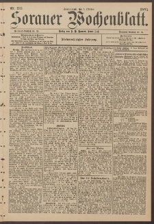 Sorauer Wochenblatt, Nr. 232. (5. Oktober 1895)