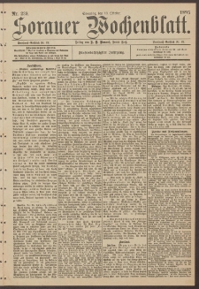 Sorauer Wochenblatt, Nr. 239. (13. Oktober 1895)