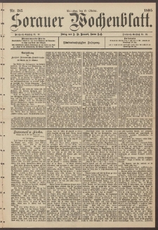 Sorauer Wochenblatt, Nr. 245. (20. Oktober 1895)