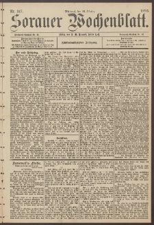 Sorauer Wochenblatt, Nr. 247. (23. Oktober 1895)