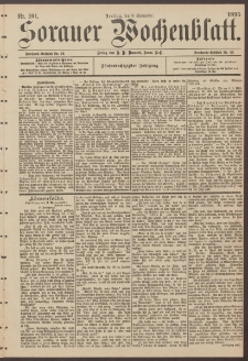 Sorauer Wochenblatt, Nr. 261. (8. November 1895)