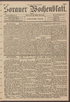 Sorauer Wochenblatt, Nr. 263. (10. November 1895)