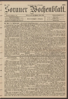 Sorauer Wochenblatt, Nr. 266. (14. November 1895)