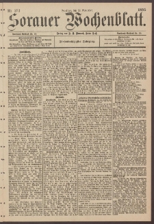 Sorauer Wochenblatt, Nr. 272. (22. November 1895)