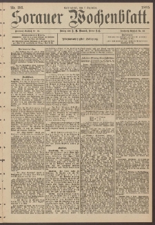 Sorauer Wochenblatt, Nr. 285. (7. Dezember 1895)