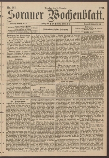 Sorauer Wochenblatt, Nr. 287. (10. Dezember 1895)