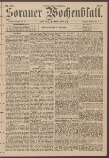 Sorauer Wochenblatt, Nr. 290. (13. Dezember 1895)