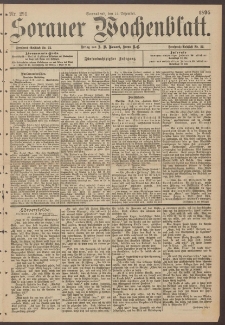 Sorauer Wochenblatt, Nr. 291. (14. Dezember 1895)