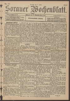 Sorauer Wochenblatt, Nr. 133. (11. Juni 1897)