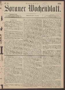 Sorauer Wochenblatt, No. 85. (22. Juli 1879)