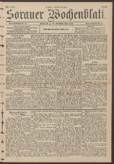 Sorauer Wochenblatt, No. 293. (15. December 1896)