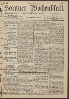Sorauer Wochenblatt, Nr. 29. (3. Februar 1893)