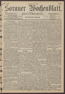 Sorauer Wochenblatt, Nr. 128. (6. Juni 1893)