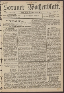 Sorauer Wochenblatt, Nr. 137. (16. Juni 1893)