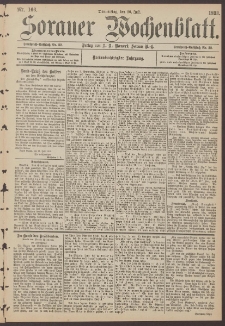 Sorauer Wochenblatt, Nr. 166. (20. Juli 1893)