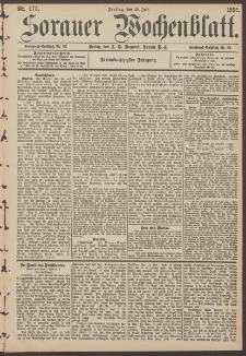 Sorauer Wochenblatt, Nr. 173. (28. Juli 1893)
