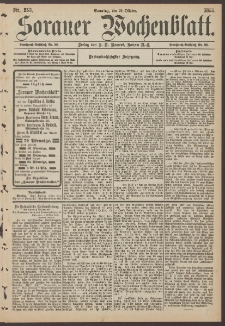 Sorauer Wochenblatt, Nr. 253. (29. Oktober 1893)