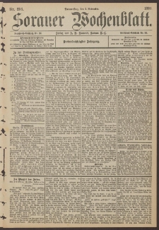 Sorauer Wochenblatt, Nr. 256. (2. November 1893)