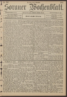 Sorauer Wochenblatt, Nr. 257. (3. November 1893)