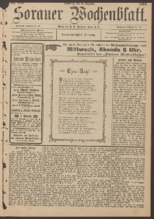 Sorauer Wochenblatt, Nr. 300. (24. Dezember 1893)