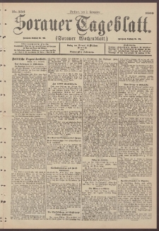 Sorauer Tageblatt (Sorauer Wochenblatt), Nr. 256. (2. November 1900)