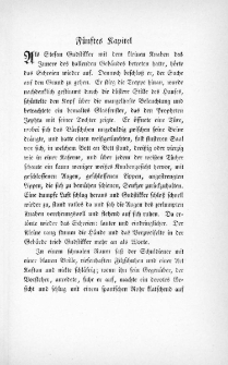 Die Juden von Zirndorf - F&uuml;nftes Kapitel