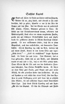 Die Juden von Zirndorf - Sechstes Kapitel