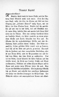 Die Juden von Zirndorf - Neuntes Kapitel