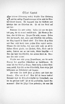 Die Juden von Zirndorf - Elftes Kapitel