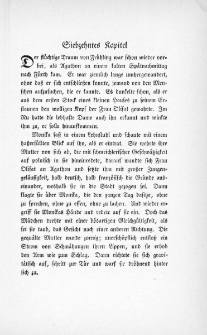 Die Juden von Zirndorf - Siebzehntes Kapitel