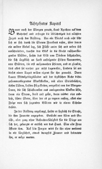 Die Juden von Zirndorf - Achtzehntes Kapitel