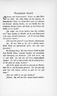 Die Juden von Zirndorf - Neunzehntes Kapitel