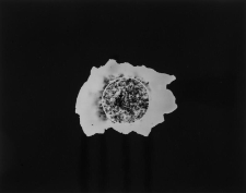 Odcisk - relacja fotograficzna (fot. 1)