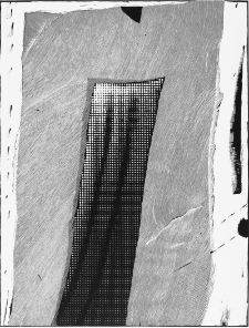 Wypukłodruki - fotografie (fot. 2)
