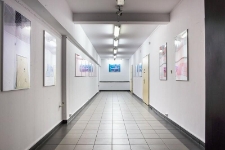 Synergie - fotografie (fot. 1)