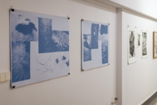 Poszukiwanie znikającego krajobrazu - relacja fotograficzna z wernisażu (fot. 17)