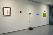 Dyplomy 2015 - Malarstwo - relacja fotograficzna (fot. 3)