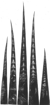 Zmysły - relacja fotograficzna z wernisażu (fot. 5)