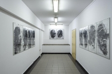 Mutacje - fotografie (fot. 3)
