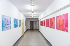 Synergie - fotografie (fot. 6)