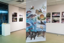 Wsp&oacute;łczynnik humanistyczny - relacja fotograficzna z wernisażu (fot. 7)