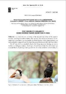 First record of a melanistic house sparrow "Passer domesticus" in India