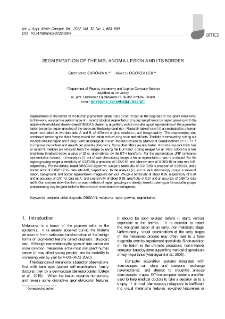 Segmentation of the melanoma lesion and its border